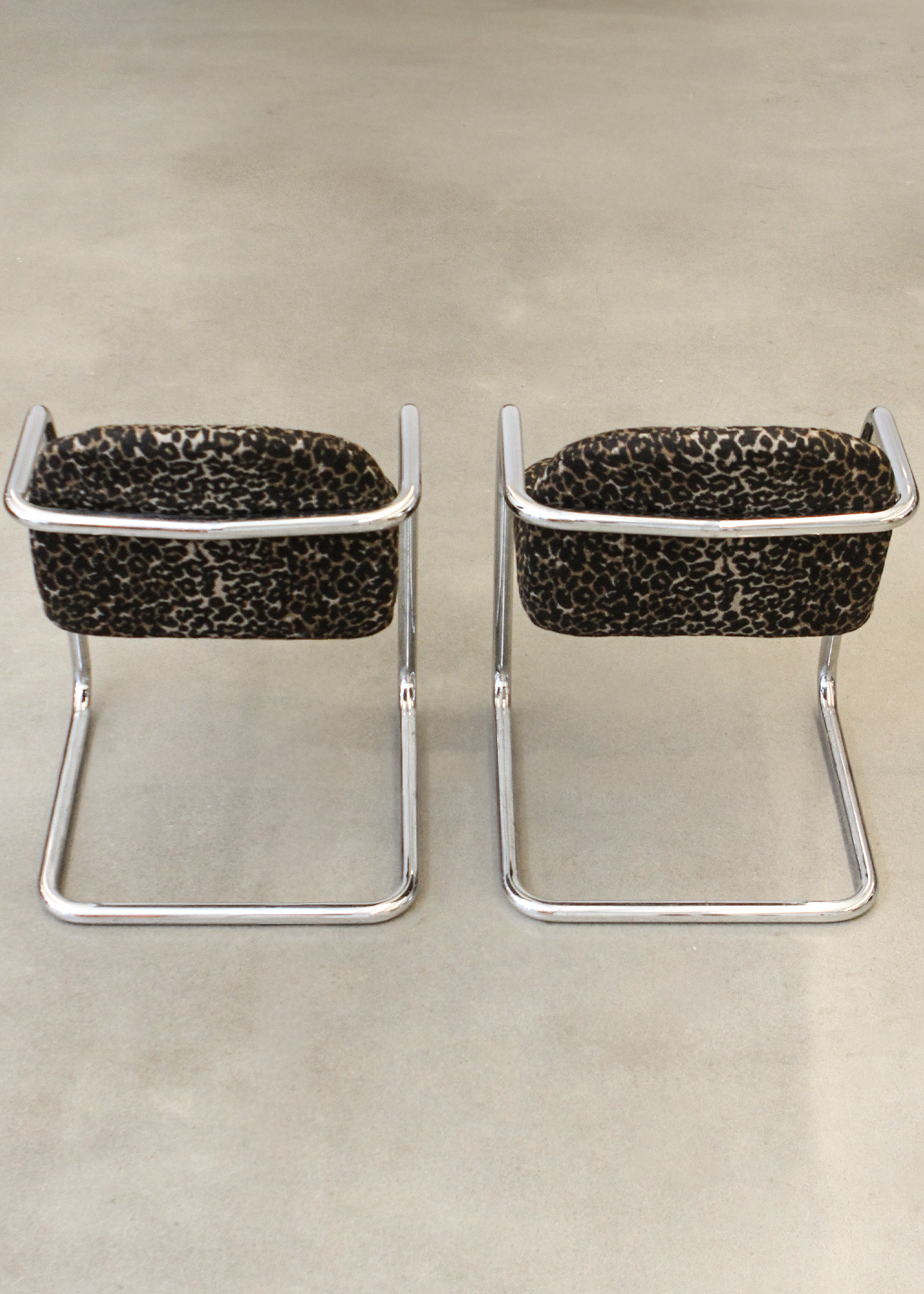 Leopard Print Chrome Cantaliever chair