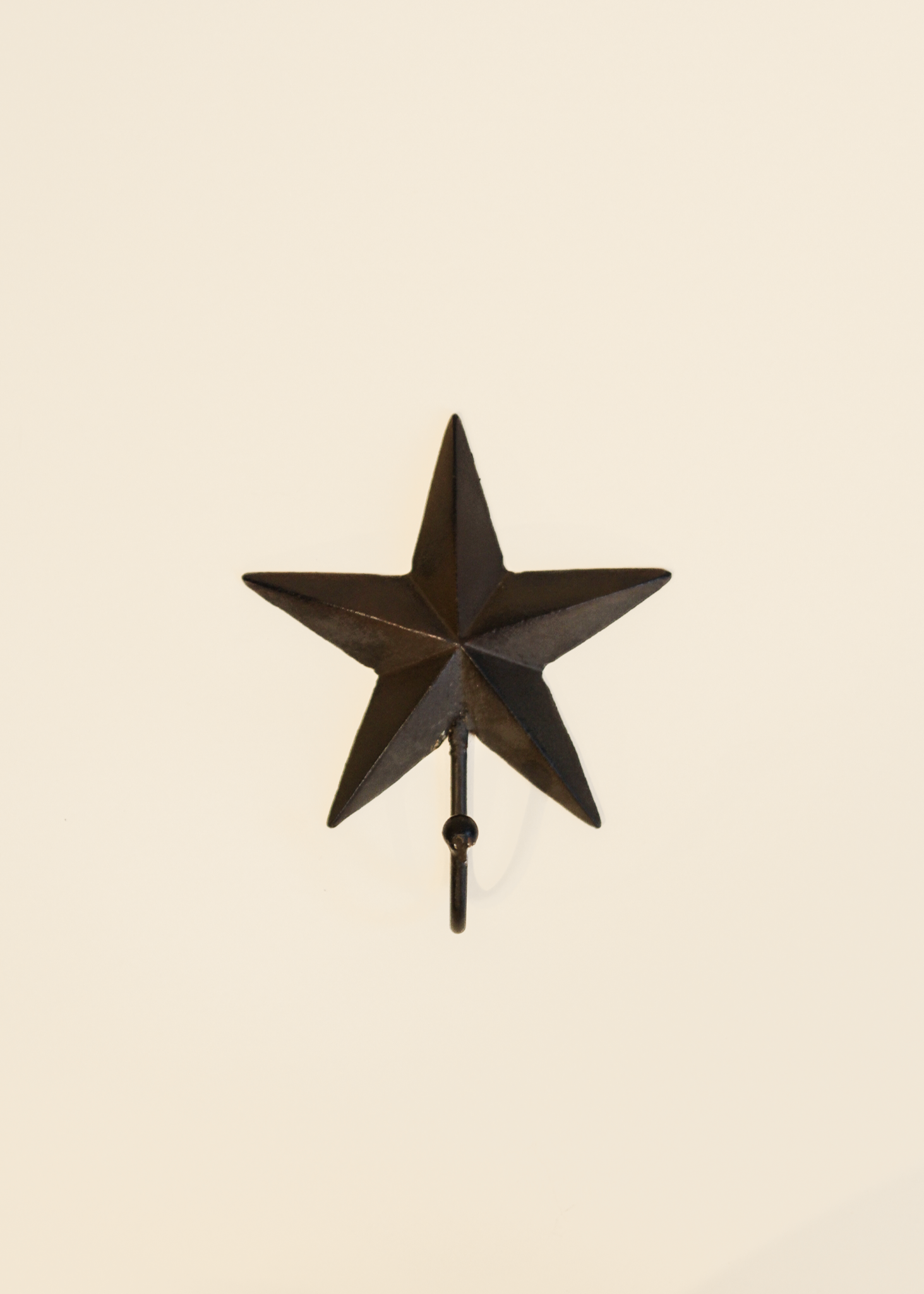 Wrought Iron Star Hook