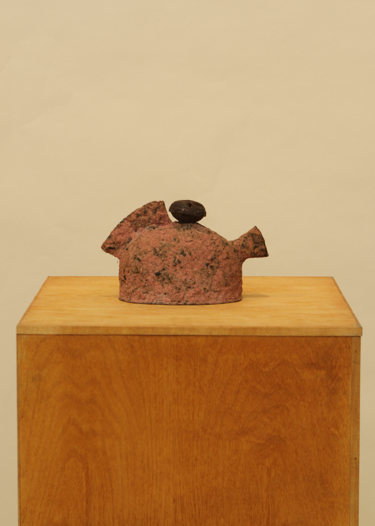 Earthenware Teapot